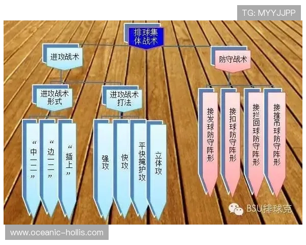 广州排球队整体压制战术解析与实战应用探讨 广州排球队整体压制战术解析与实战应用探讨