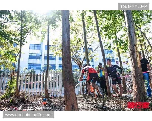 广州极限运动队实力分析与表现评估的全面数据研究